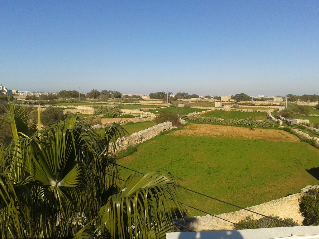 PPMT1377640 PPMT1377640