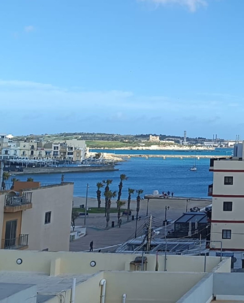 PPMT1380408 PPMT1380408